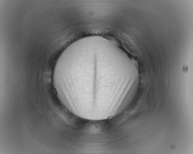 X0000090620368200708141418