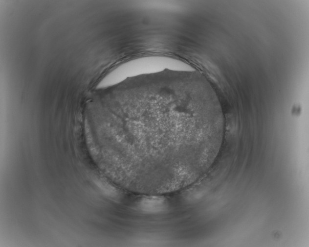 X0000090620369200708141418