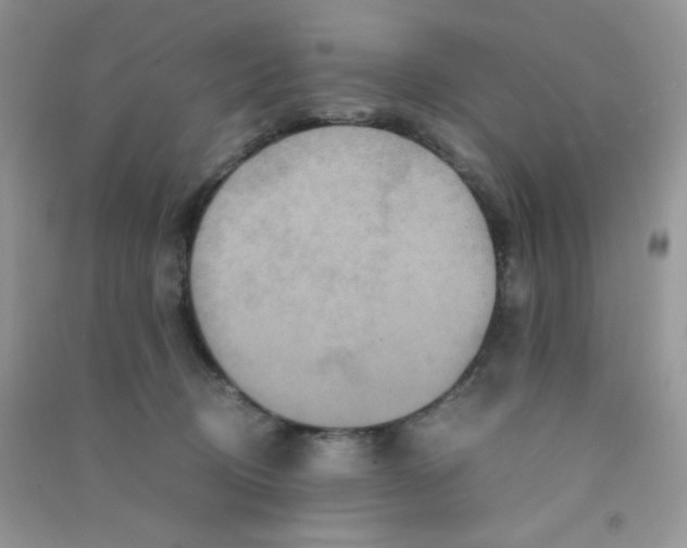 X0000090620370200708141418