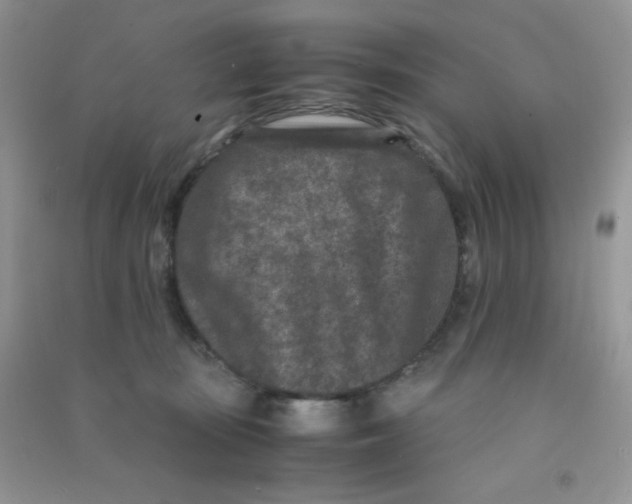 X0000090620371200708141418