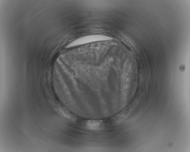 X0000090620373200708141418