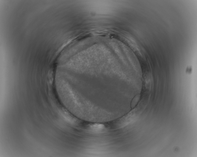 X0000090620374200708141418