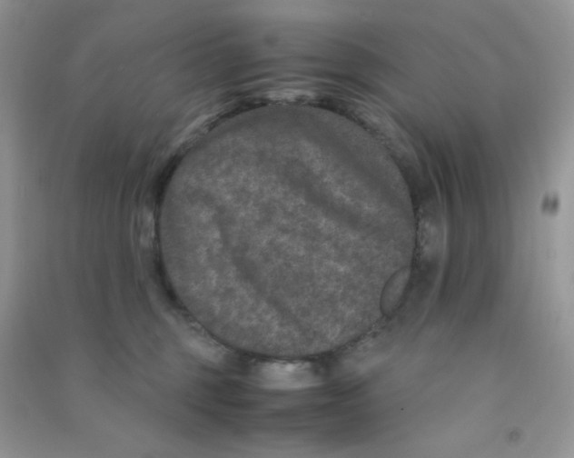 X0000090620375200708141418