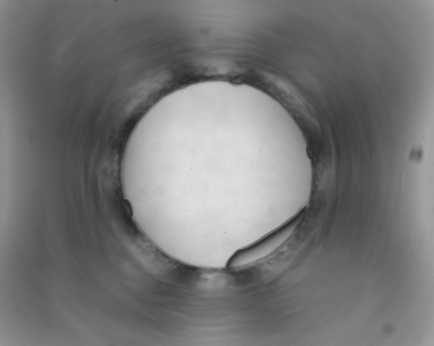 X0000090620376200708141418