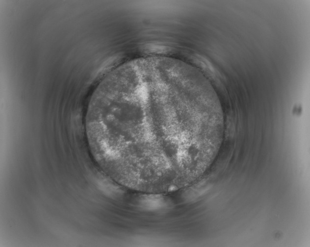 X0000090620377200708141418