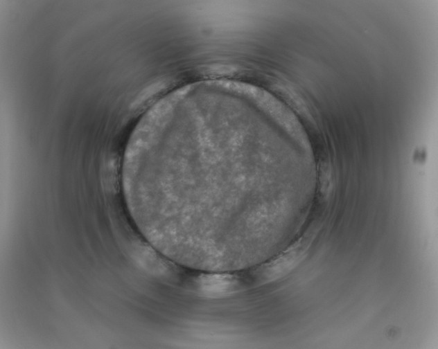 X0000090620378200708141418