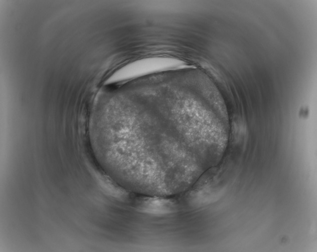 X0000090620379200708141418