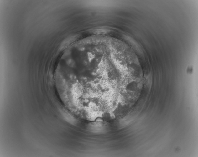 X0000090620381200708141418