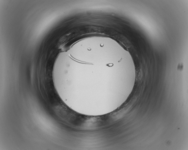 X0000090620382200708141418