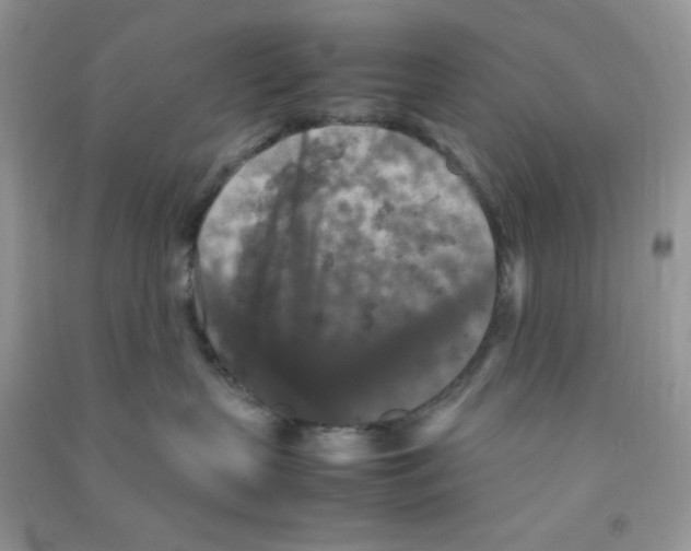 X0000090620383200708141418