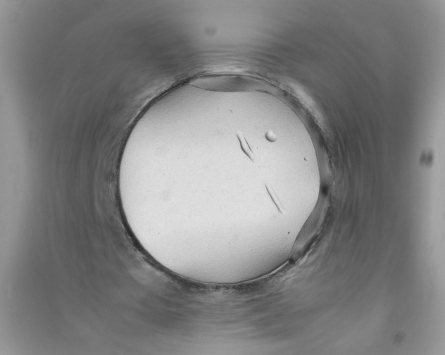 X0000090620385200708141418