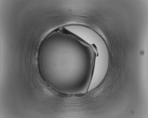 X0000090620387200708141418