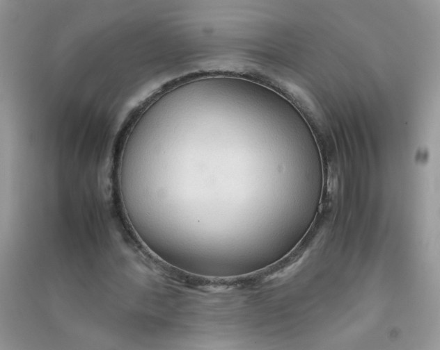 X0000090620388200708141418