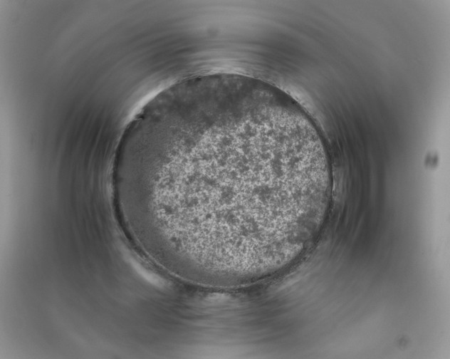 X0000090620390200708141417