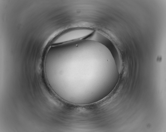 X0000090620392200708141417