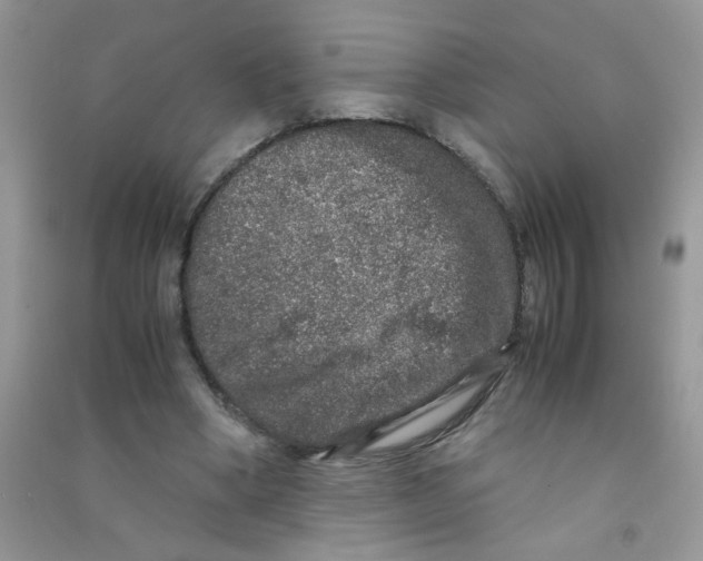 X0000090620394200708141417