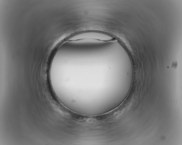 X0000090620395200708141417