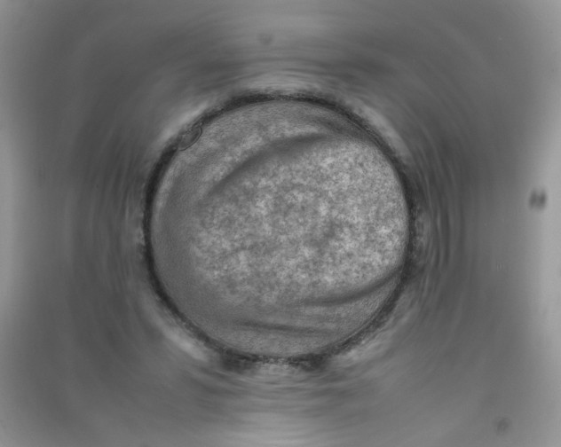 X0000090620399200708141417