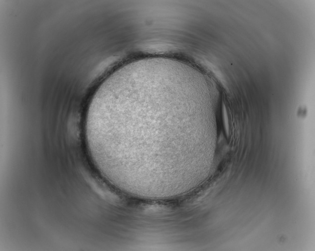 X0000090620400200708141417