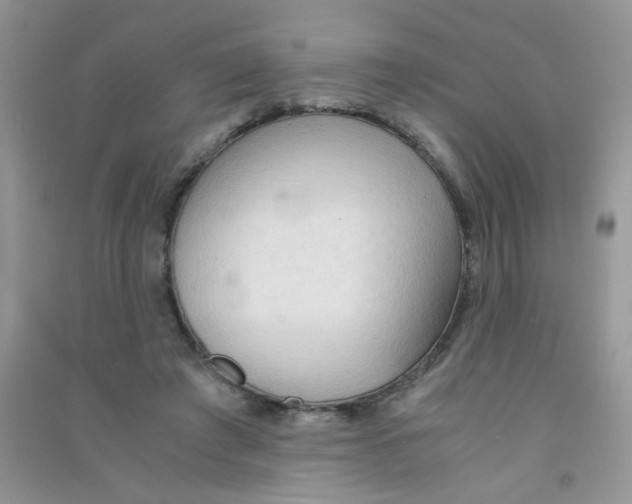 X0000090620401200708141417