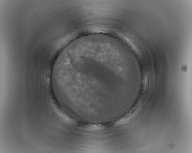 X0000090620402200708141417