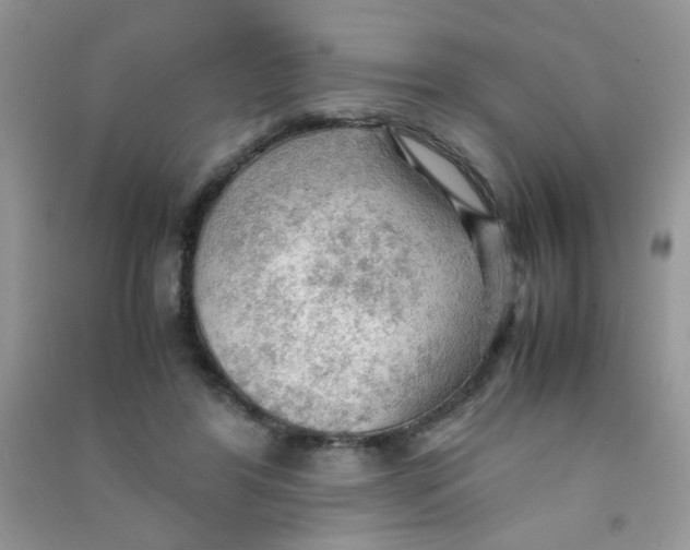 X0000090620404200708141417