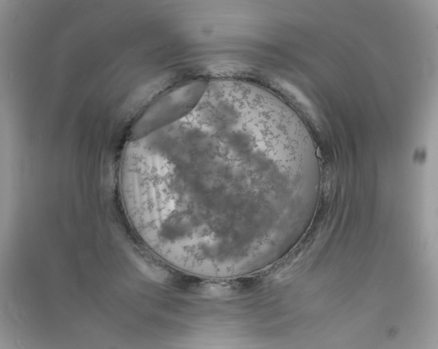 X0000090620405200708141417