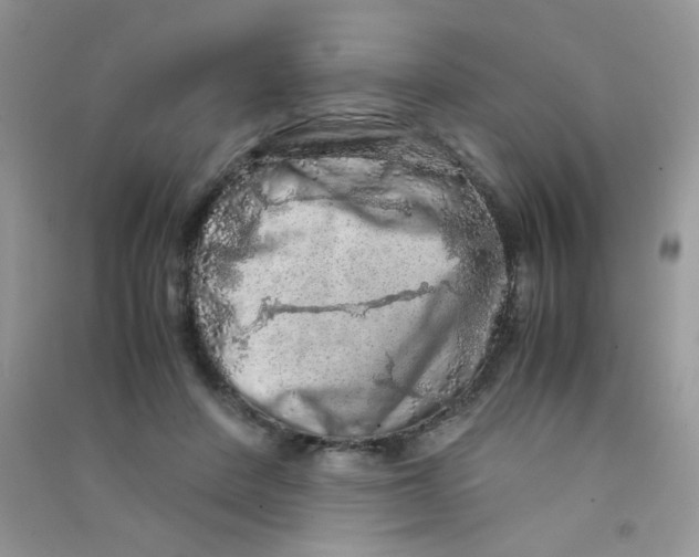 X0000090620408200708141417