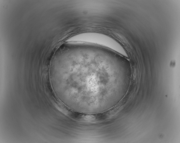 X0000090620409200708141417