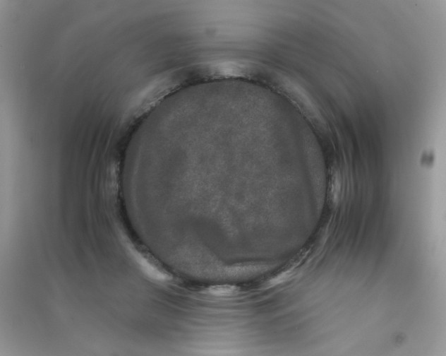 X0000090620410200708141417