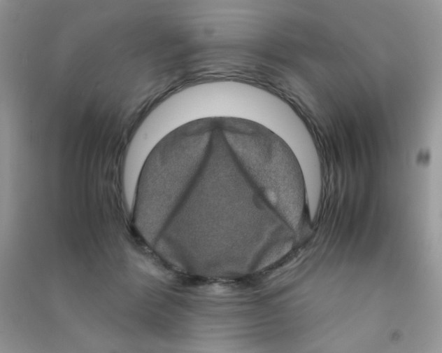 X0000090620412200708141417