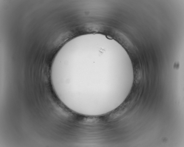 X0000090620414200708141417