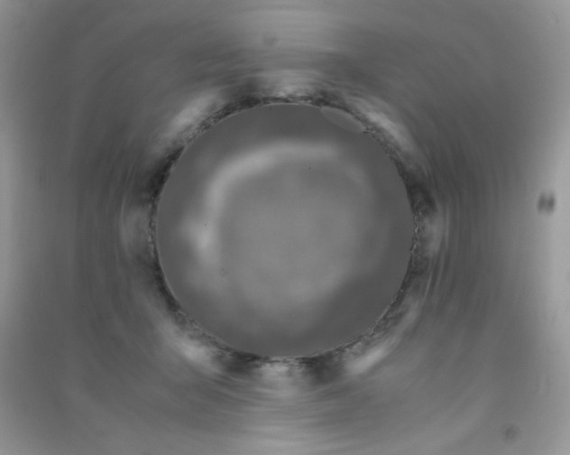 X0000090620415200708141417