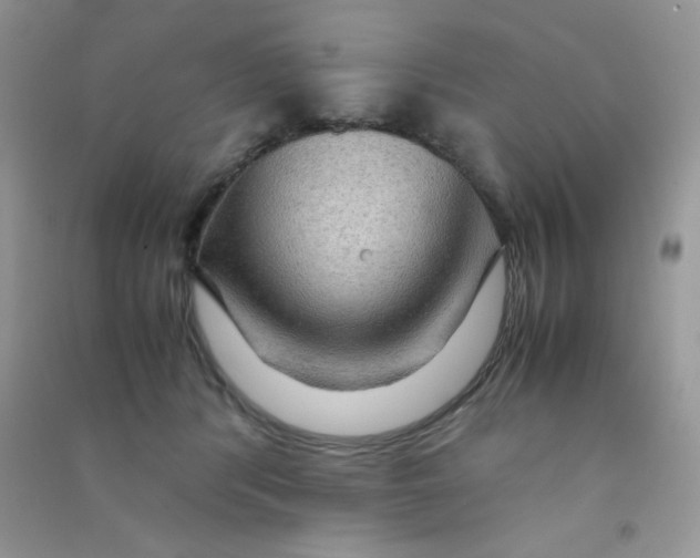 X0000090620416200708141417