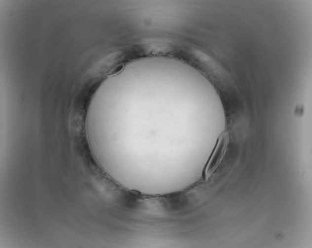 X0000090620417200708141417