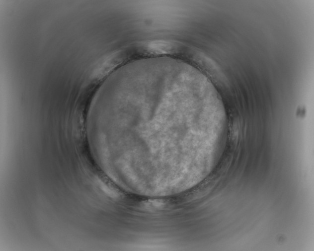 X0000090620418200708141417