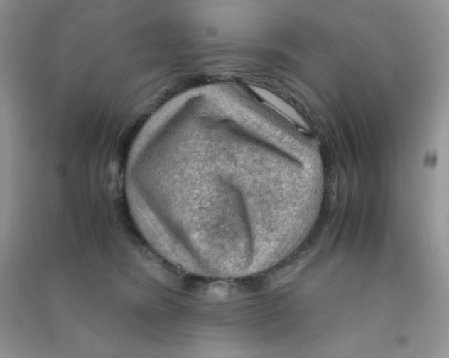 X0000090620420200708141417