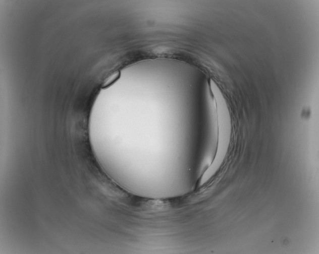 X0000090620421200708141417