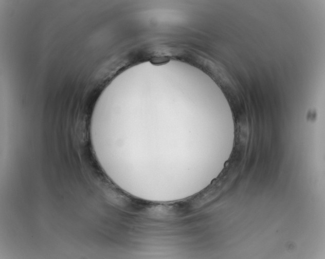 X0000090620422200708141417