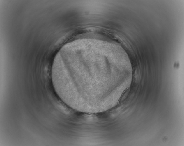 X0000090620424200708141417