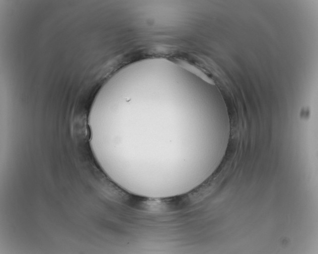 X0000090620425200708141417