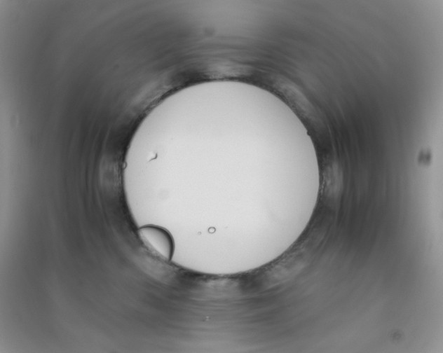 X0000090620426200708141417