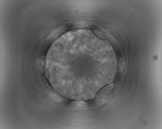 X0000090620427200708141417