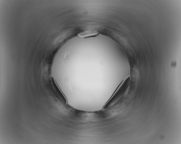 X0000090620428200708141417