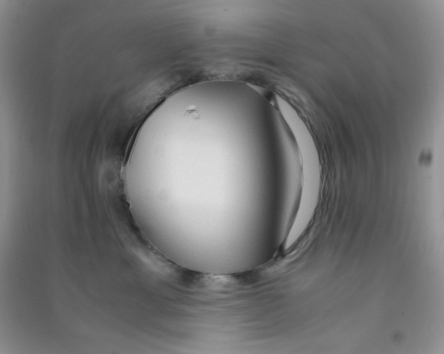 X0000090620429200708141417