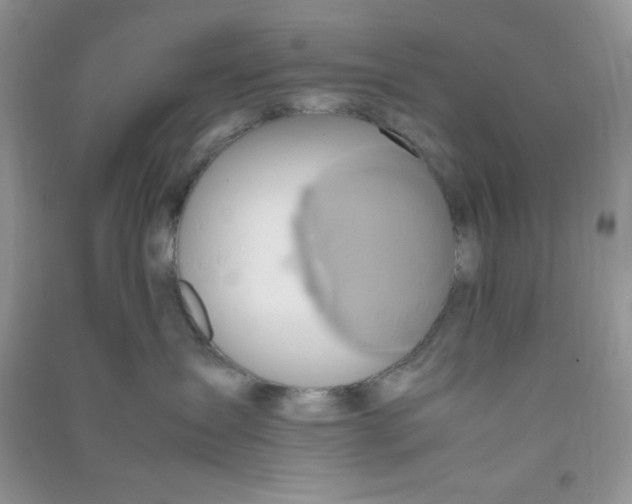 X0000090620431200708141417