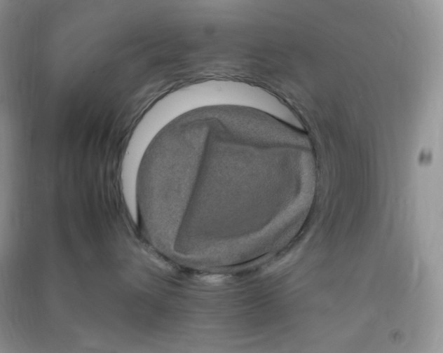 X0000090620432200708141417