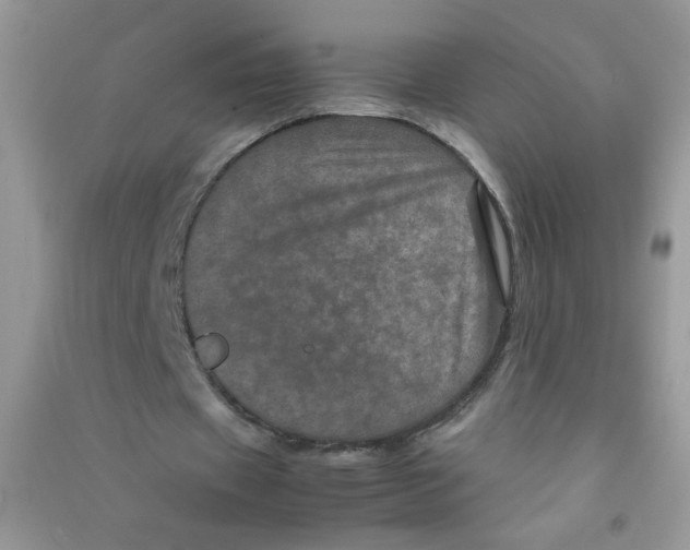 X0000090620433200708141416