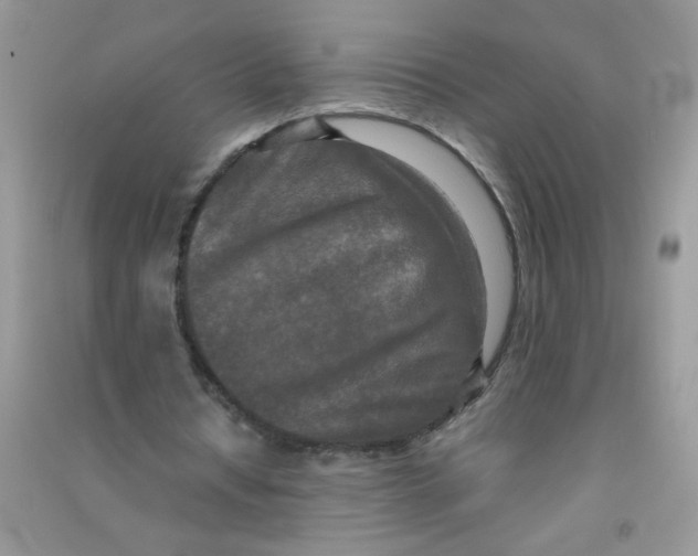 X0000090620434200708141416