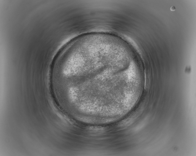 X0000090620435200708141416